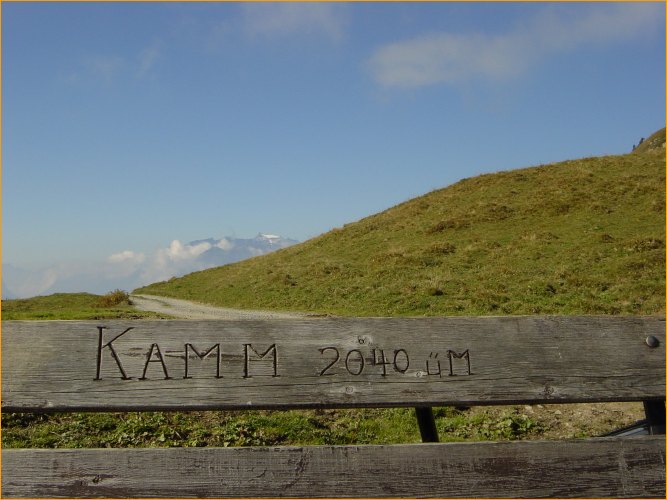 die rastbank auf dem kamm. 