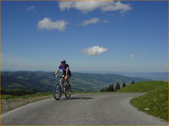 der bodensee im hintergrund